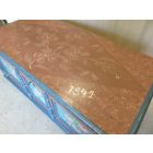 #2025 Antique Pine Hand Painted Trunk