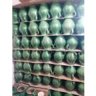 Image-6  Two-Handled Jars – Assorted Colours (30 cm tall)